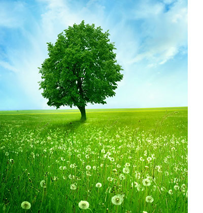 多多28·(中国平台)官方网站