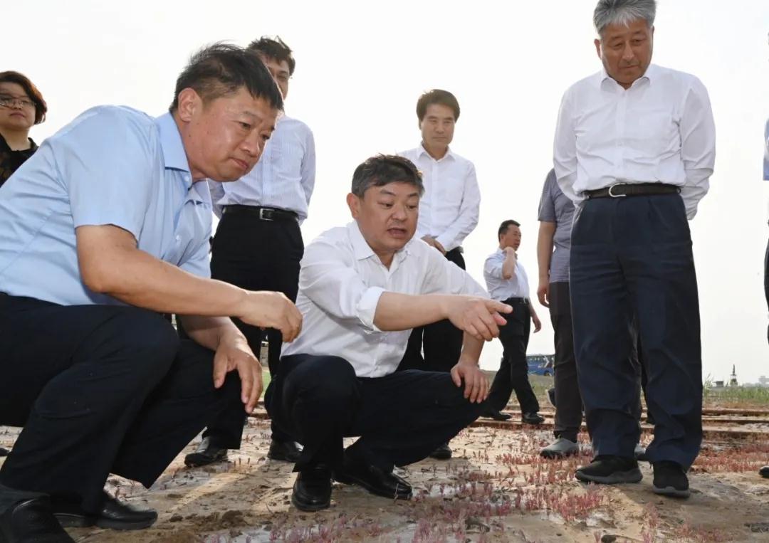 多多28·(中国平台)官方网站